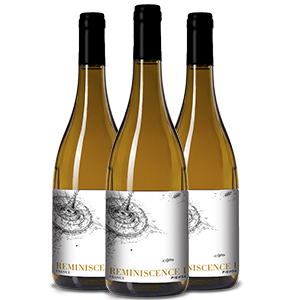 Miniatura: REMINISCENCE I - Vin de France
