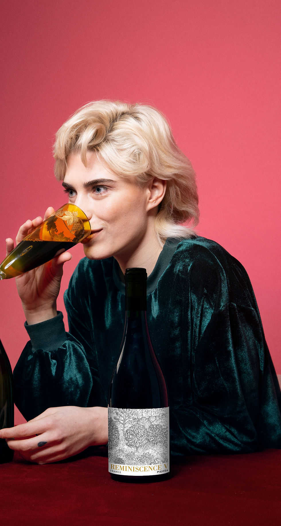 Miniatura: REMINISCENCE V - Vin de France