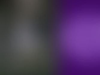 Resenha do artigo “Política Representativa” de Heloísa Buarque de Hollanda e Antonia Pellegrino