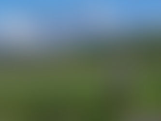 Menstrual Cycle Fitness Gain Optimization