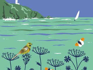 South Hams Design selling well................