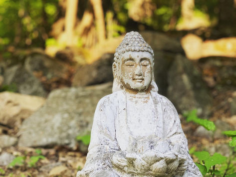 Monday Perspectives 5/17 - Paths and Choices