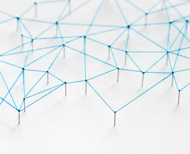 Connectomics