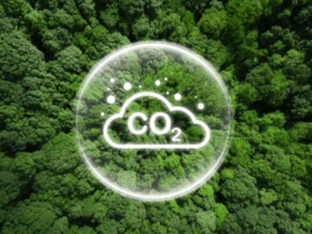 Living Carbon Sinks