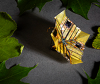 RNA Origami