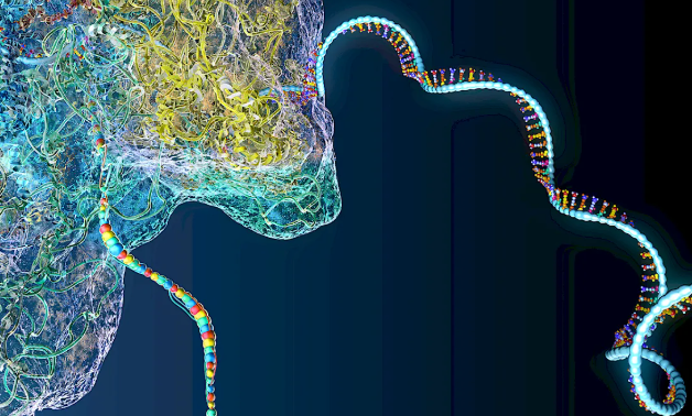 Trans-splicing RNA therapies