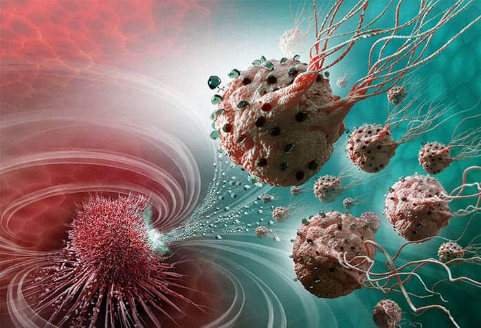 Magnetic Bacteria In Cancer Treatment