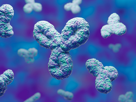 De Novo Proteins