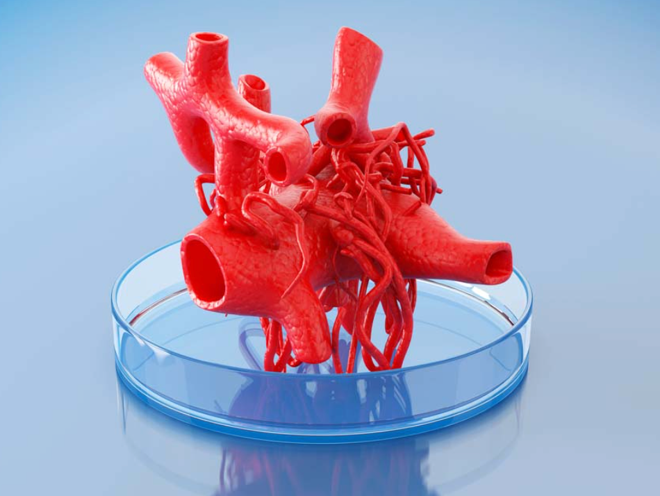 3D printing blood vessels using hydrogels