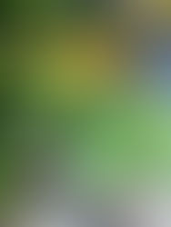 Das MüZe macht Pause!