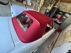 IMG_9724.jpg