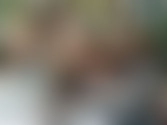 Fit durch den Alltag