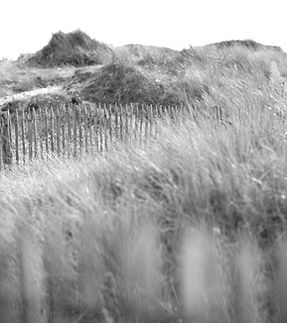 ClaireetSébastien-PhotosPalmaetMaxime-08092023-HD-9_edited.jpg