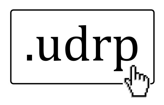 UDRP Procedure - Who is the Respondent?