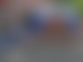 Significant Factual Disputes are Often Outside the Scope of the UDRP