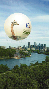 Zoo Balloon