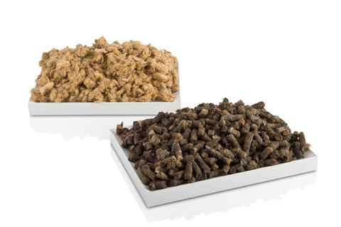 sheep wool.jpeg