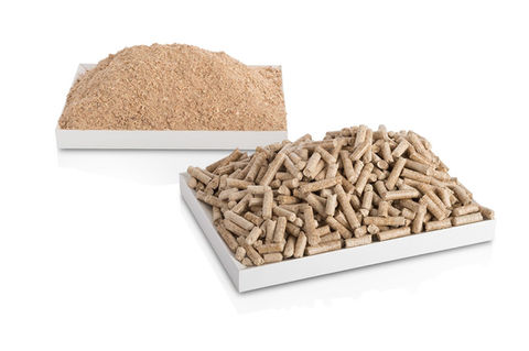 sawdust.jpeg