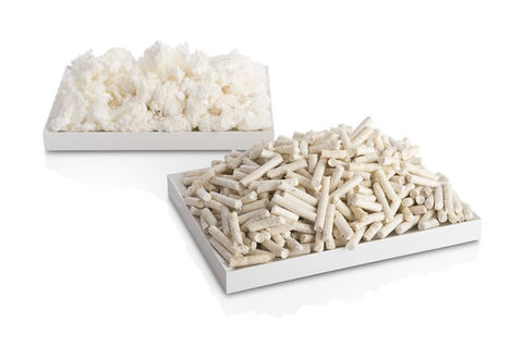 cellulose.jpeg