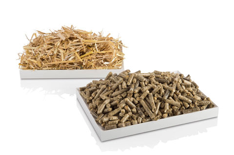 straw.jpeg