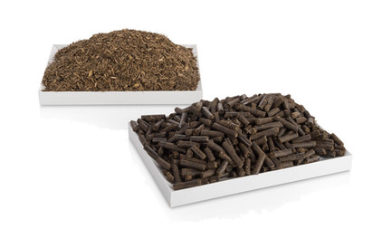 Substrat de fermentation.jpeg