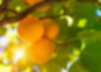 iStock-483094969.jpg