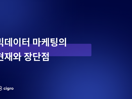 빅데이터 마케팅의 현재와 장단점