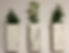 wall vases.jpg