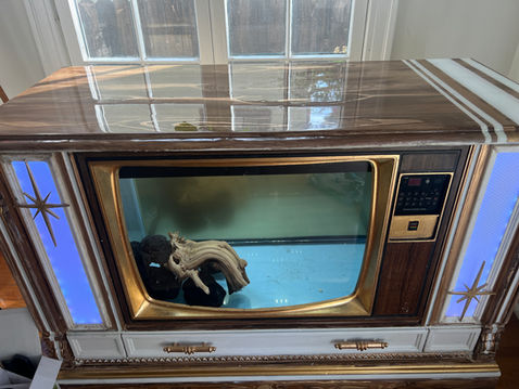1987 tv turned fish tank