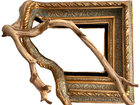 Mother nature mash-up frame