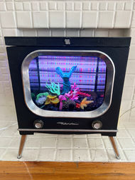 1953 Tv turned fish tank