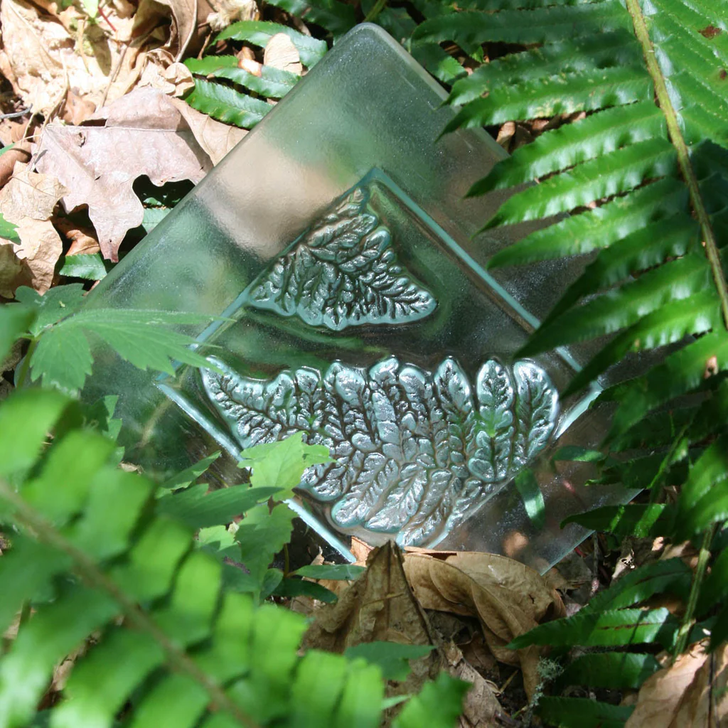 Fern Glass Art Plate Donna Taylor Mayo Artist