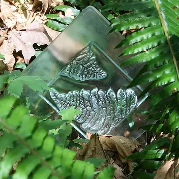 Fern Glass Art Plate Donna Taylor Mayo Artist