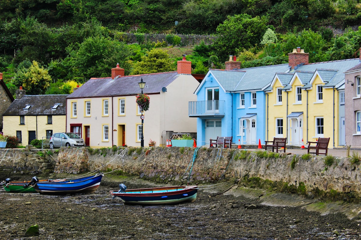 Colourful terraced houses in a Welsh coastal village

Selling a letting agency UK case study