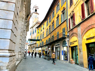 Pisa street scene: shops, pedestrians, and historic buildings.