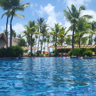 Swimming Pool at Barcelo Bavaro Palace, lush veh=getation and tall palm trees