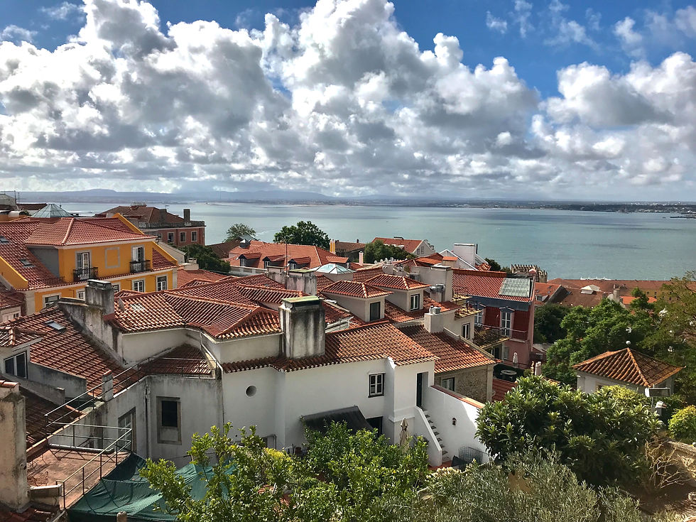 Rooftops with red tiles overlook a calm sea under a cloudy sky. Brightly colored buildings dot the landscape, creating a picturesque scene.