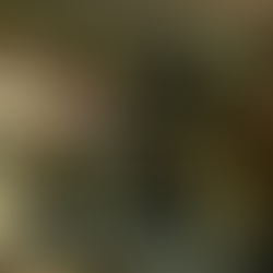 Limbo Restaurant at Bahia Principe Escape Ambar, upscale restaurant with modern decor