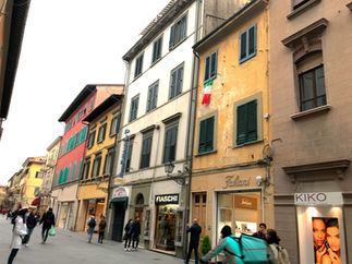 Pisa street scene: colorful buildings, shops, pedestrians
