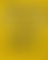 Saisonabschluss Heimspieltag – Ein Highlight zum Abschluss