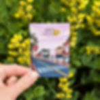 Apex magnet featuring Salem Street and the Apex water tower against a pink sunset