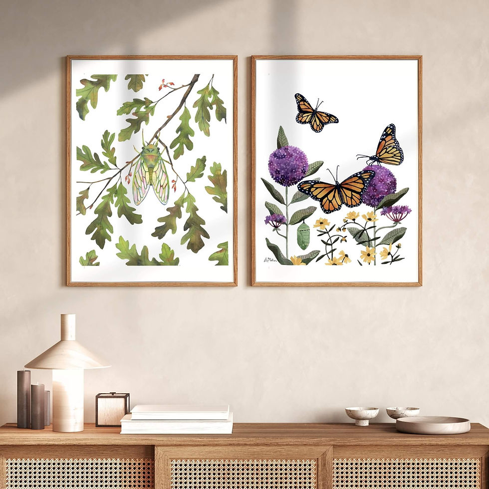 Cicada and monarch butterfly watercolor art prints framed together on wall above wooden console table