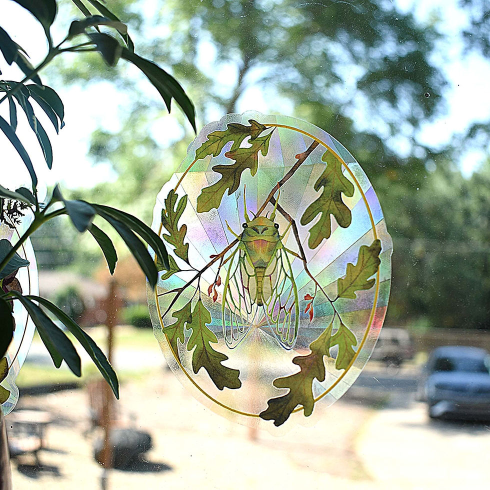 A prismatic suncatcher decal is shown in a window. The suncatcher features a colorful cicada design.