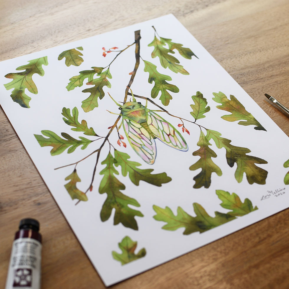 Thumbnail: Original cicada watercolor painting on wooden desk with paintbrush and paint, signed by the artist