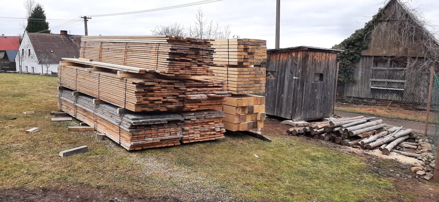 Exkurze studentů v lesích Wood Seeds