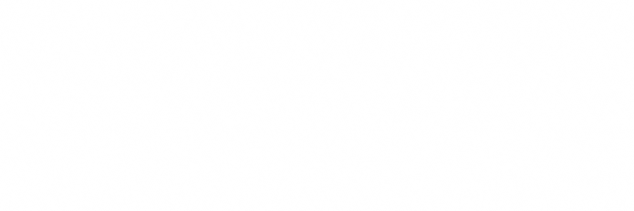 WS_rastr.png