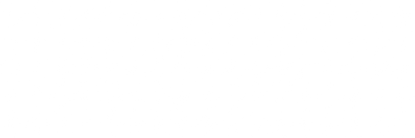 WS_rastr.png