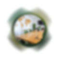 brasy_na_web.jpg
