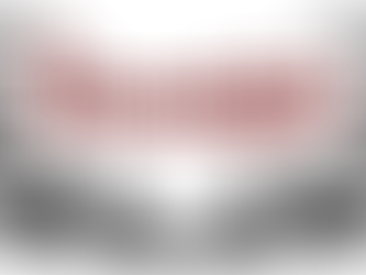 Ehrungen an der diesjährigen Generalversammlung des FC Linth 04