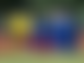 6:0-PACKUNG FÜR DEN FC LINTH UND TRAINER BORILOVIC WIRFT HIN…